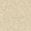 Veer Decor Pampas Plain Brushed Texture Warm Beige Wallpaper
