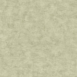 Veer Decor Pampas Plain Brushed Texture Misty Green Wallpaper