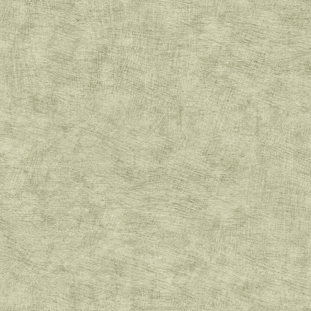 Veer Decor Pampas Plain Brushed Texture Misty Green Wallpaper