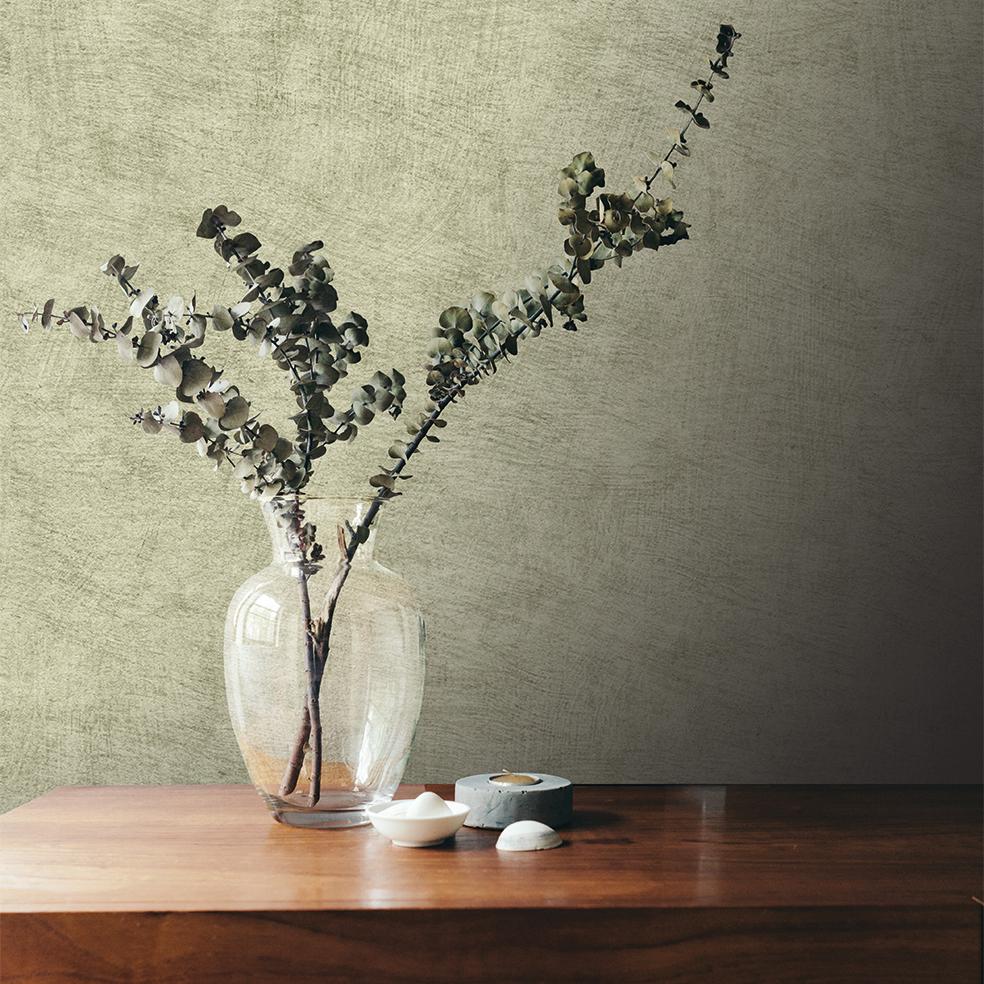 Veer Decor Pampas Plain Brushed Texture Misty Green Wallpaper