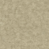 Veer Decor Pampas Plain Brushed Texture Olive Grey Wallpaper