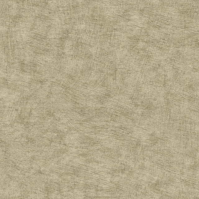 Veer Decor Pampas Plain Brushed Texture Olive Grey Wallpaper
