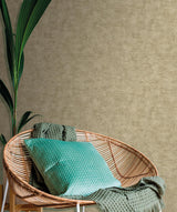 Veer Decor Pampas Plain Brushed Texture Olive Grey Wallpaper