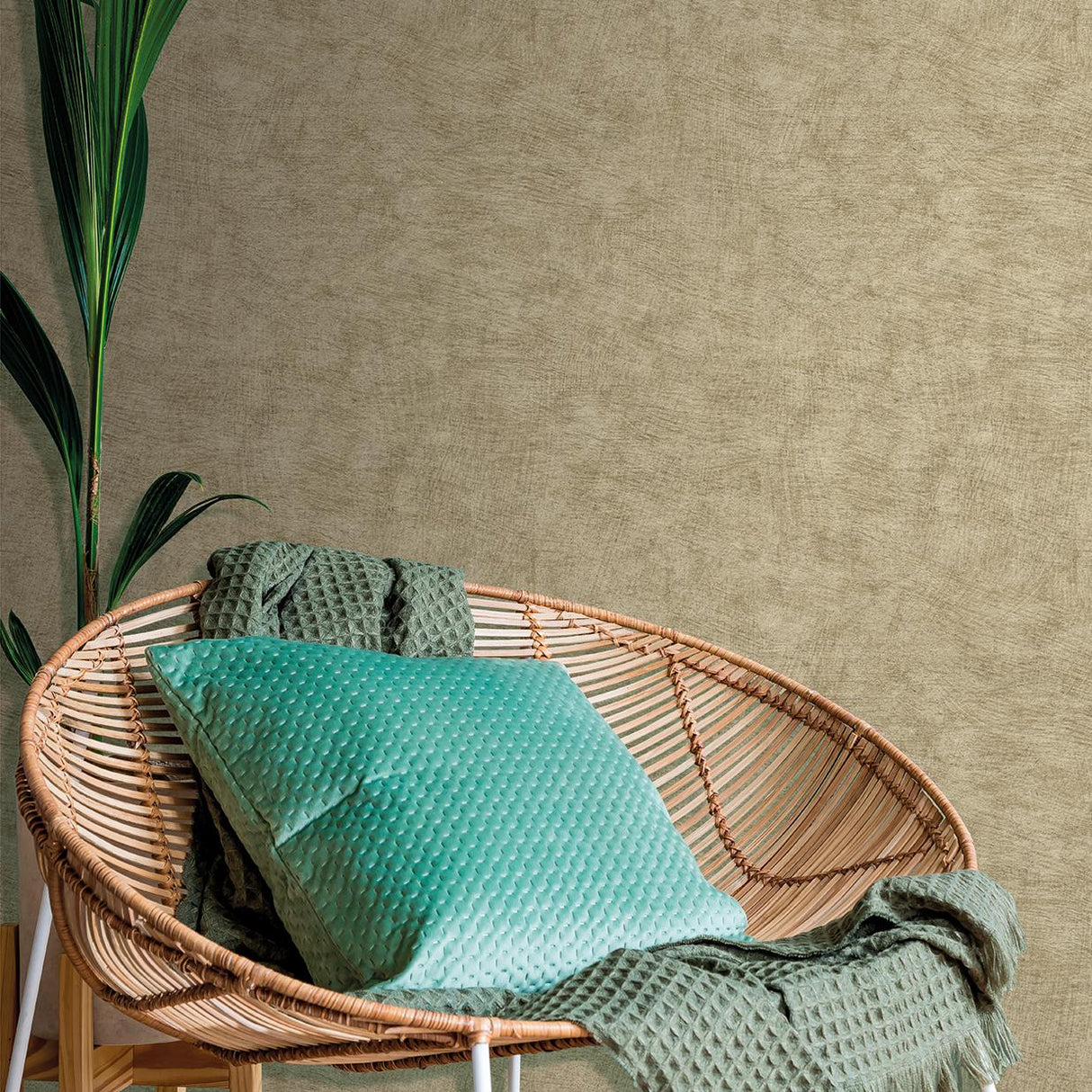 Veer Decor Pampas Plain Brushed Texture Olive Grey Wallpaper