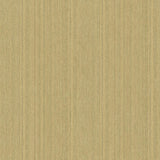 Veer Decor Rope Plain Texture Gold Sand Wallpaper
