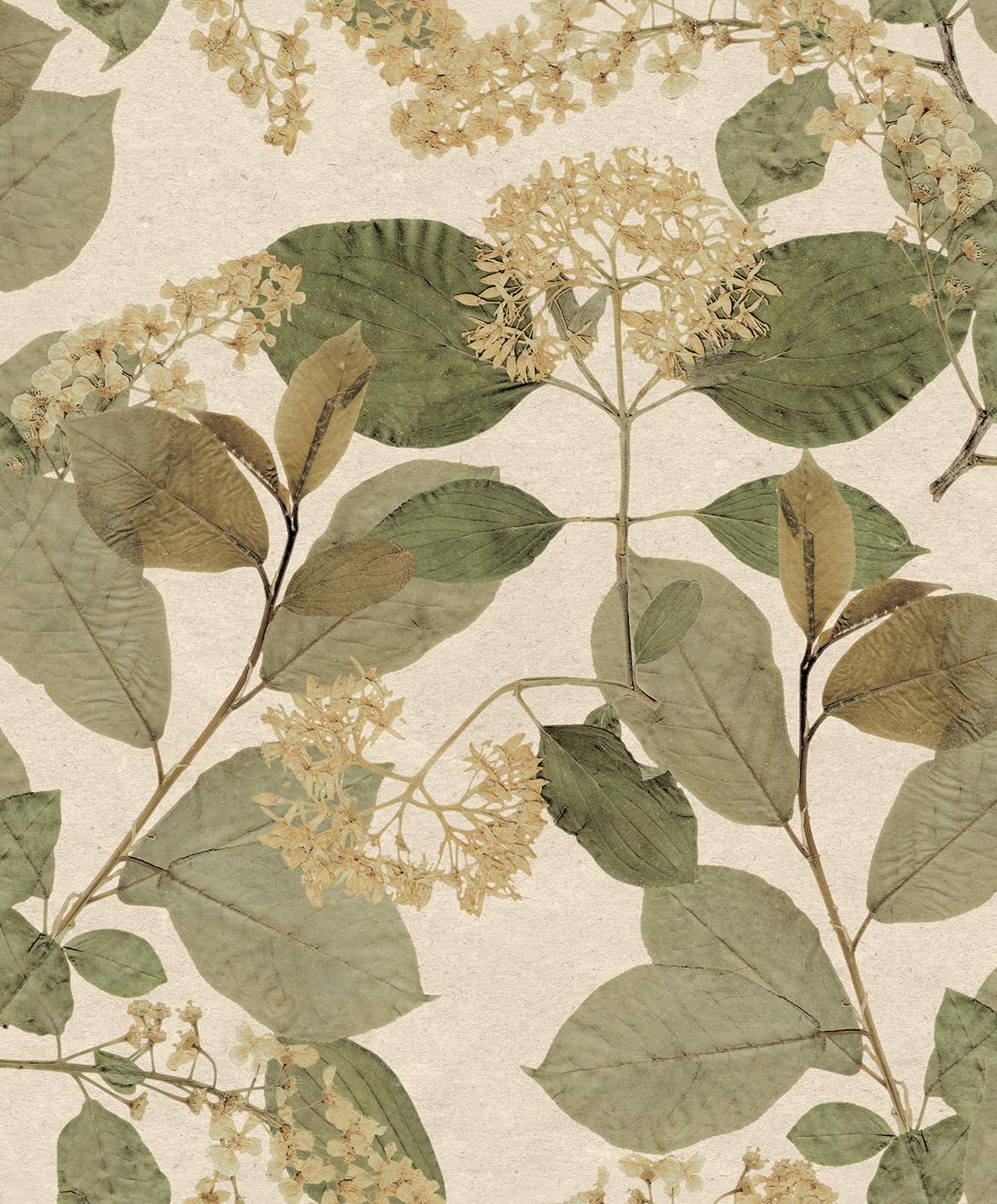 Veer Decor Castanum Bloom Cream Green Wallpaper