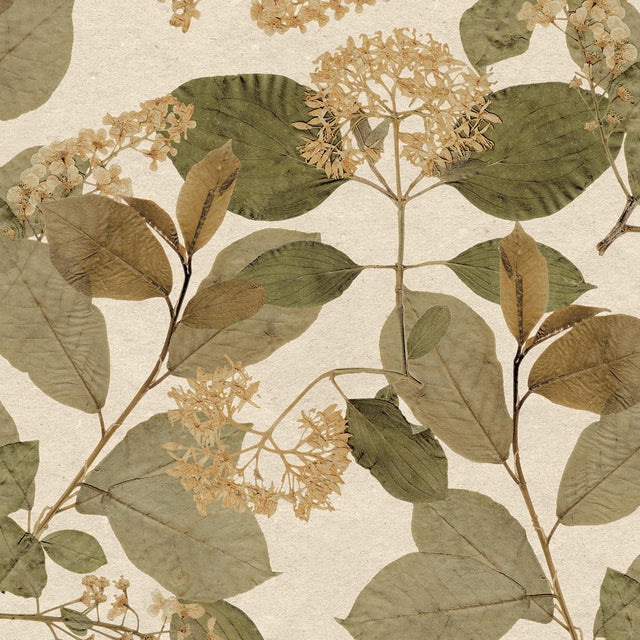 Veer Decor Castanum Bloom Apricot Orange Wallpaper