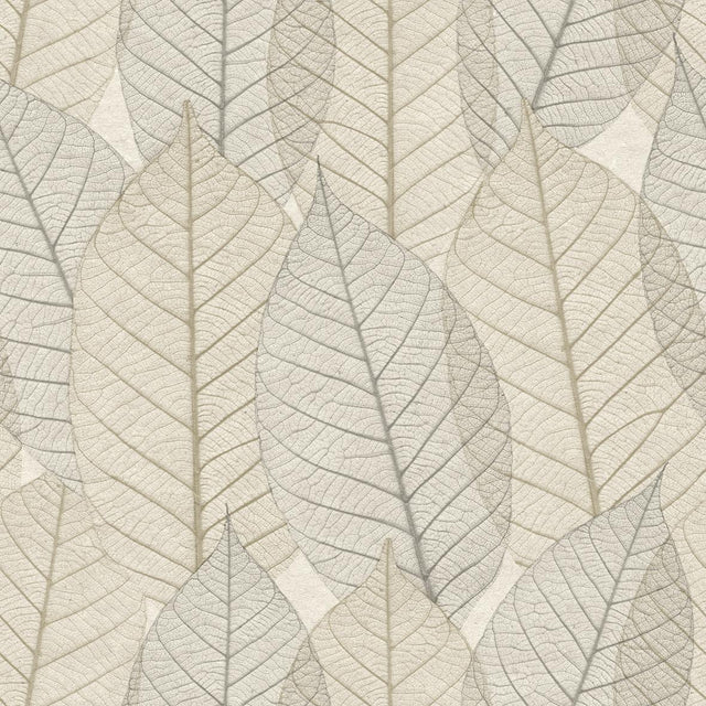 Veer Decor Leaf Lace Cream Wallpaper