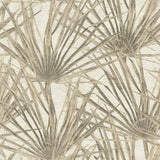 Veer Decor Palm Cream Wallpaper