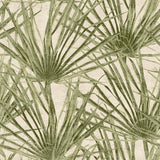 Veer Decor Palm Turtle Green Wallpaper