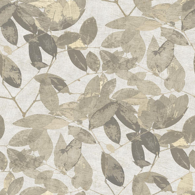 Veer Decor Beech Leaves Warm Taupe Wallpaper