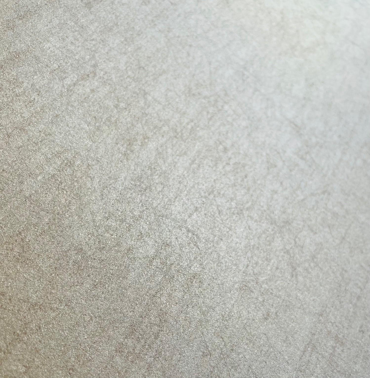 Veer Decor Papyrus Lux Cream Wallpaper