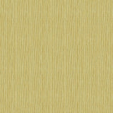 Veer Decor Rafia Grasscloth Citron Wallpaper