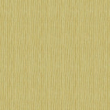 Veer Decor Rafia Grasscloth Citron Wallpaper