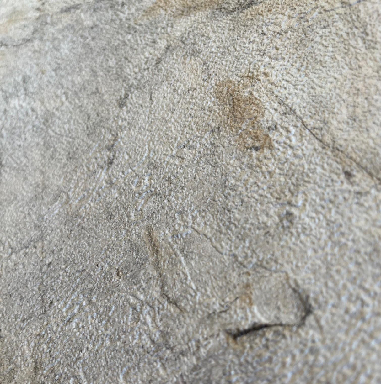 Veer Decor Slate Fusion Beige Wallpaper