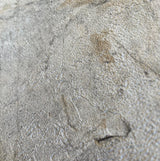 Veer Decor Slate Fusion Beige Wallpaper