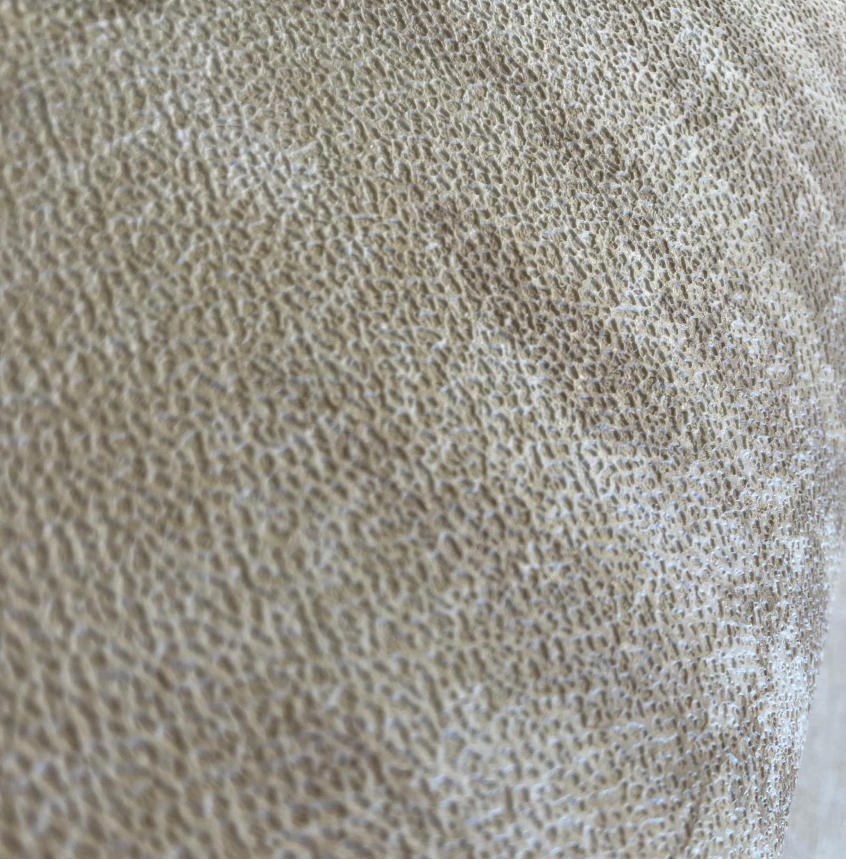 Veer Decor Fern Horizon Beige Wallpaper