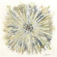 Paragon Dandelion Green 38 X 38 X 3 Wall Hanging