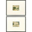 Paragon In the Meadows I S/2 Green 23 X 29 X 1 Wall Art