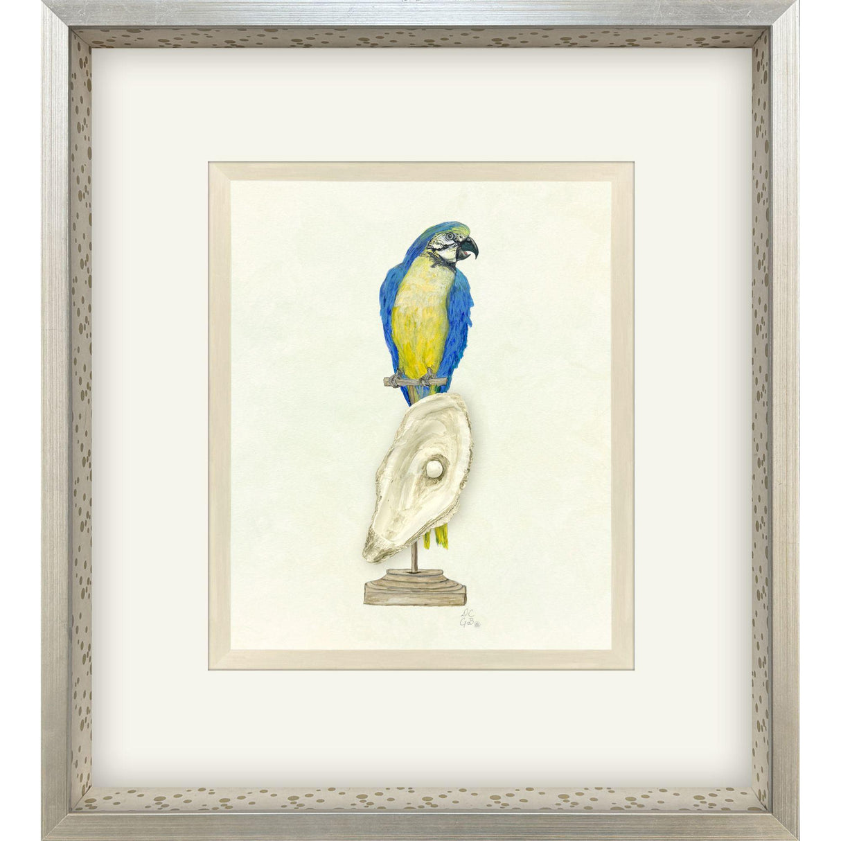 Paragon Treasure Parrot I Blue 26 X 23 X 3 Wall Art