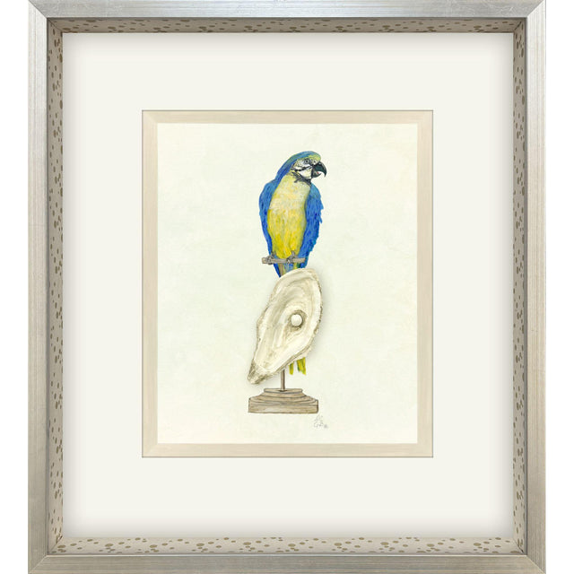 Paragon Treasure Parrot I Blue 26 X 23 X 3 Wall Art