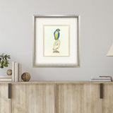 Paragon Treasure Parrot I Blue 26 X 23 X 3 Wall Art