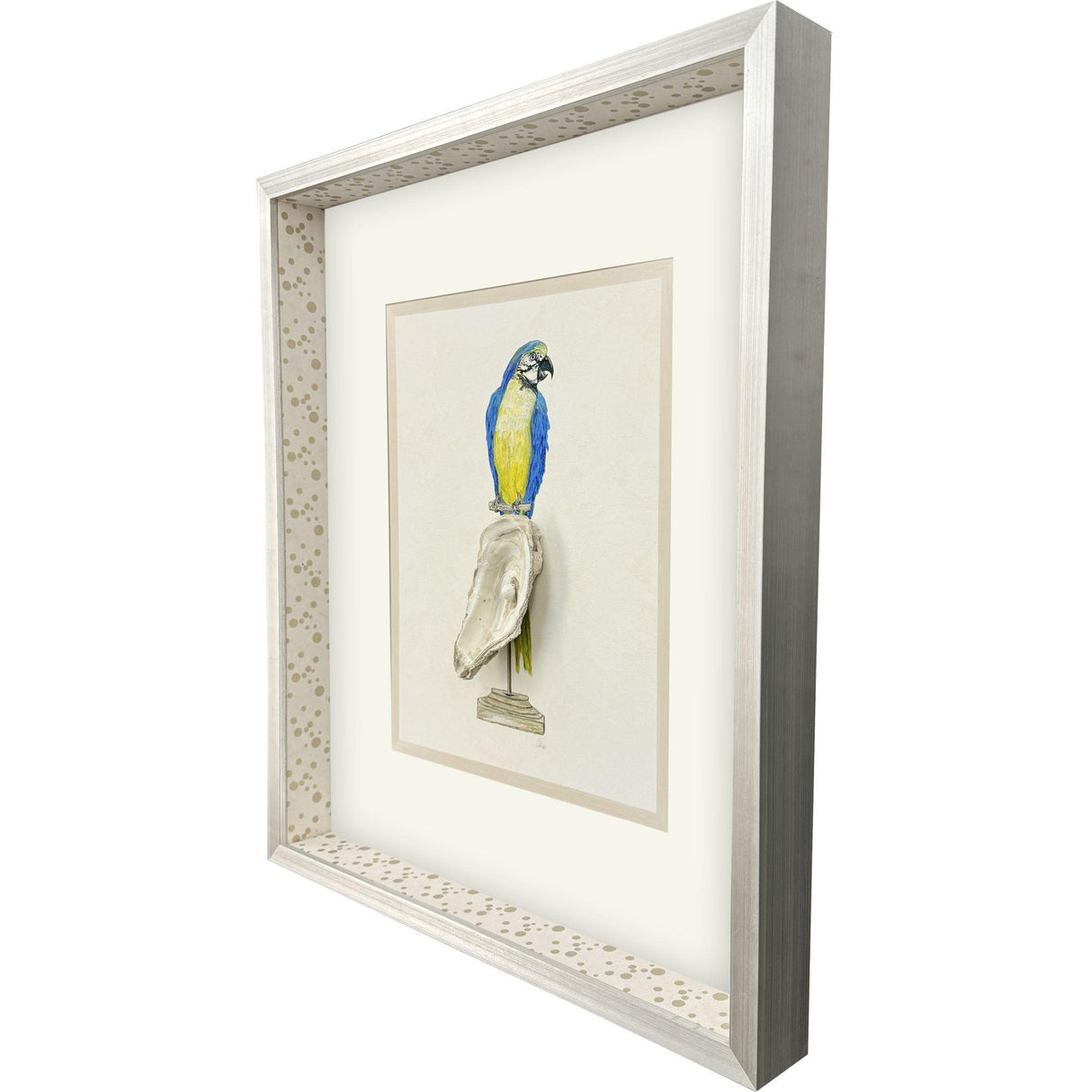 Paragon Treasure Parrot I Blue 26 X 23 X 3 Wall Art