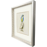 Paragon Treasure Parrot I Blue 26 X 23 X 3 Wall Art