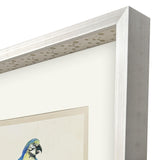 Paragon Treasure Parrot I Blue 26 X 23 X 3 Wall Art