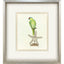 Paragon Treasure Parrot II Blue 26 X 23 X 3 Wall Art