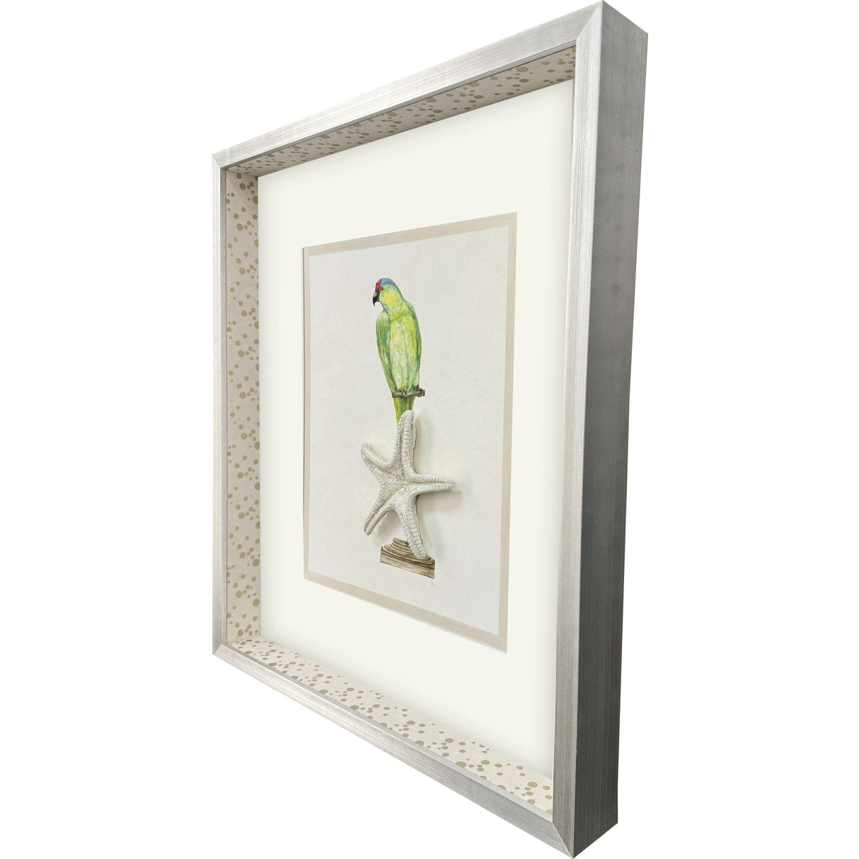 Paragon Treasure Parrot II Blue 26 X 23 X 3 Wall Art