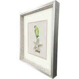 Paragon Treasure Parrot II Blue 26 X 23 X 3 Wall Art