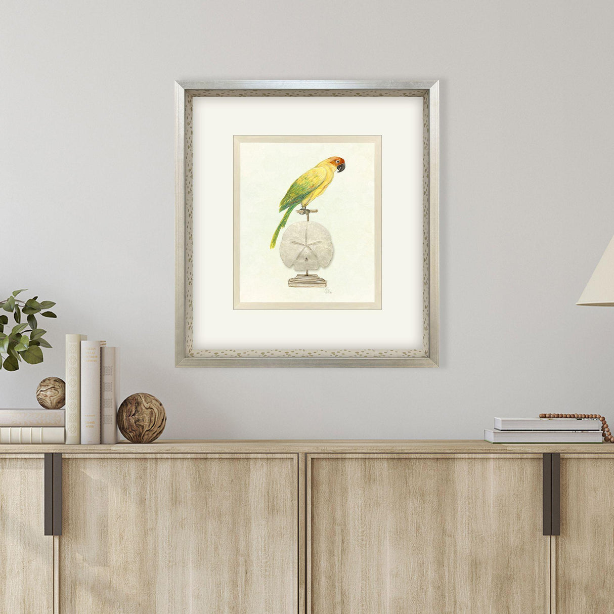 Paragon Treasure Parrot III Blue 26 X 23 X 3 Wall Art
