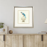 Paragon Treasure Parrot IV Blue 26 X 23 X 3 Wall Art