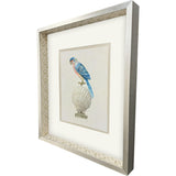 Paragon Treasure Parrot IV Blue 26 X 23 X 3 Wall Art