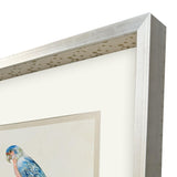 Paragon Treasure Parrot IV Blue 26 X 23 X 3 Wall Art
