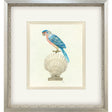 Paragon Treasure Parrot IV Blue 26 X 23 X 3 Wall Art