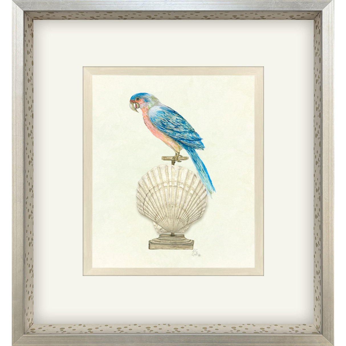 Paragon Treasure Parrot IV Blue 26 X 23 X 3 Wall Art
