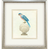 Paragon Treasure Parrot IV Blue 26 X 23 X 3 Wall Art