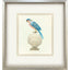 Paragon Treasure Parrot IV Blue 26 X 23 X 3 Wall Art