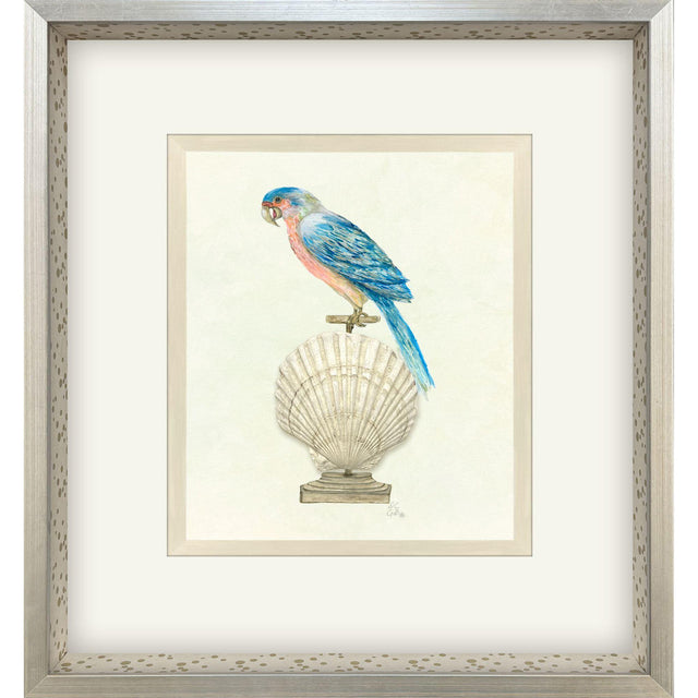 Paragon Treasure Parrot IV Blue 26 X 23 X 3 Wall Art