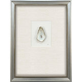 Paragon Oyster in Paradise I Beige 26 X 19 X 3 Wall Art