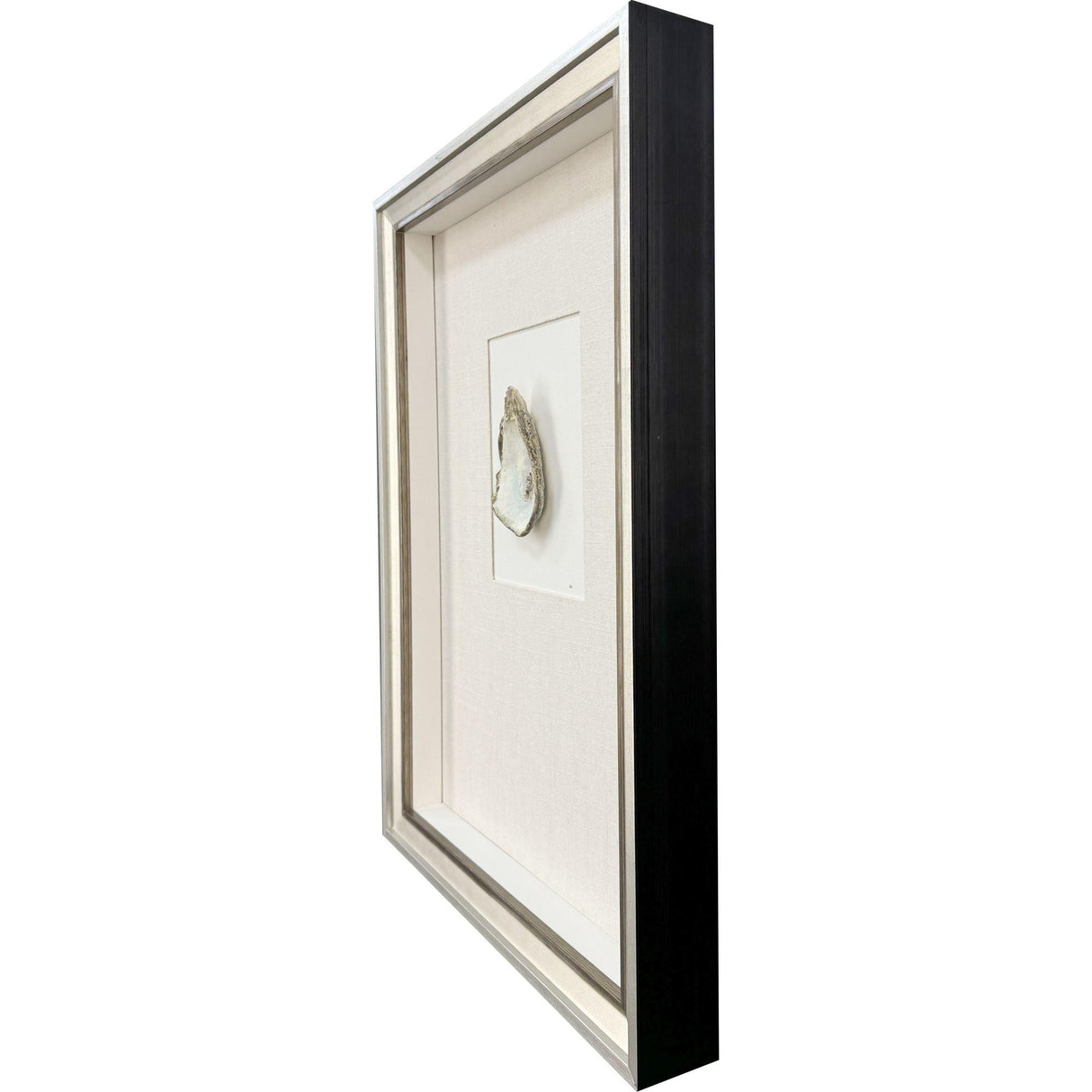 Paragon Oyster in Paradise I Beige 26 X 19 X 3 Wall Art