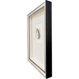 Paragon Oyster in Paradise I Beige 26 X 19 X 3 Wall Art