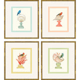 Paragon Bird with Shell S/4 Multi 22 X 19 X 2 Wall Art