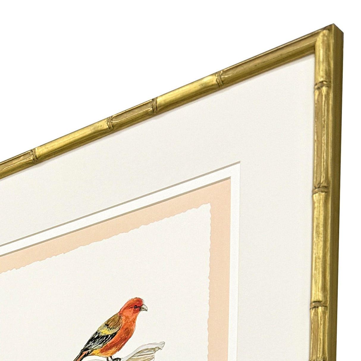 Paragon Bird with Shell S/4 Multi 22 X 19 X 2 Wall Art