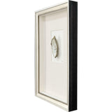 Paragon Oyster in Paradise III Beige 26 X 19 X 3 Wall Art