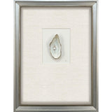 Paragon Oyster in Paradise II Beige 26 X 19 X 3 Wall Art