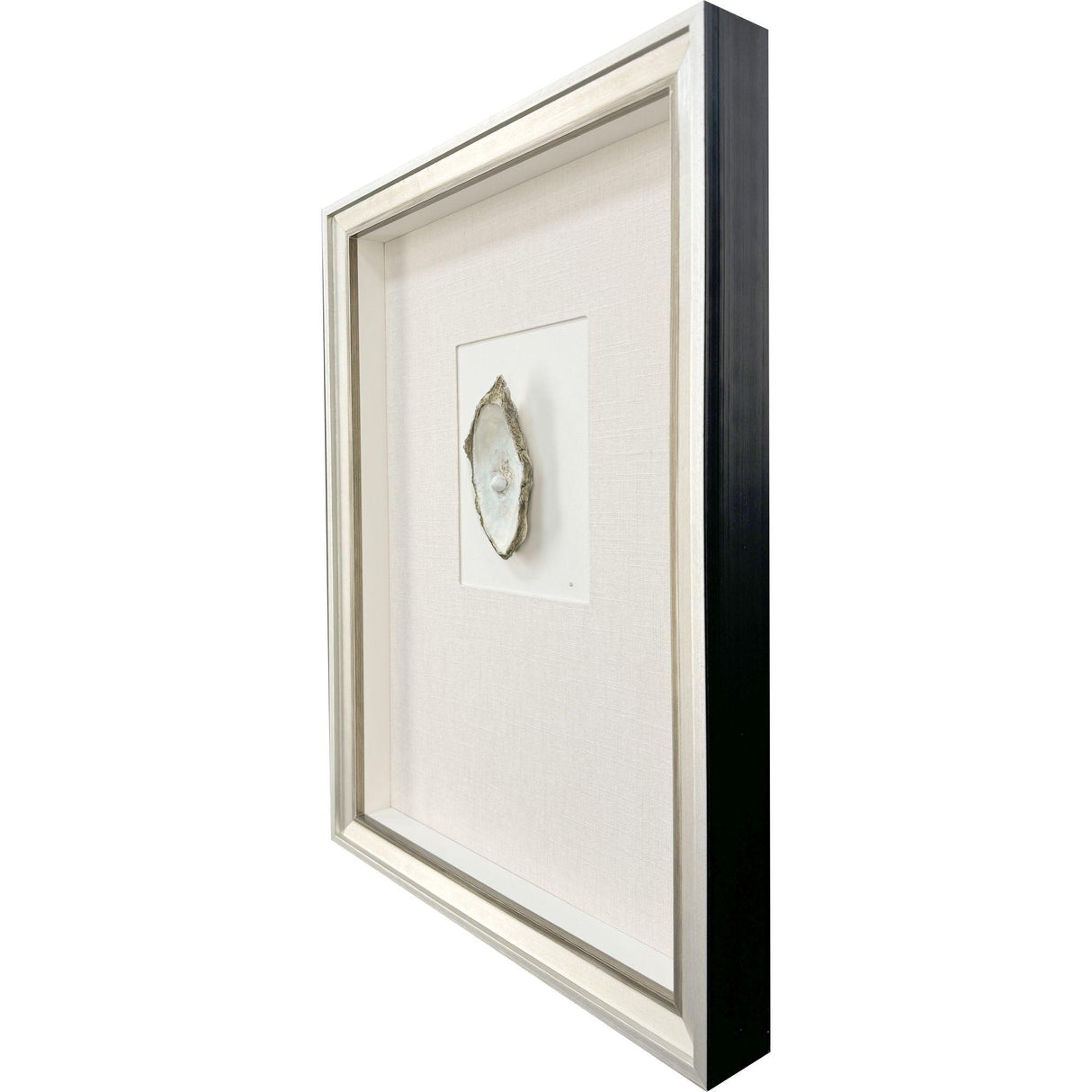 Paragon Oyster in Paradise II Beige 26 X 19 X 3 Wall Art