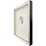 Paragon Oyster in Paradise II Beige 26 X 19 X 3 Wall Art